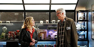 Cartel de Stealing Home