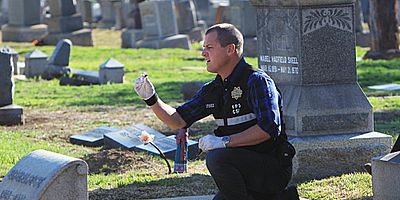 Cartel de Fallen Angels