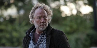 Cartel de Novias rusas