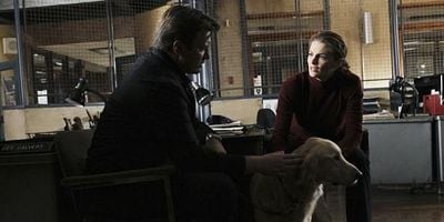 Cartel de An Embarrassment of Bitches