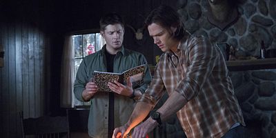 Cartel de Survival of the fittest