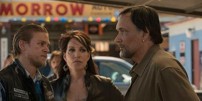 Cartel de Stolen Huffy