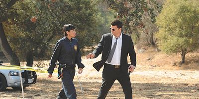 Cartel de The Spark in the Park