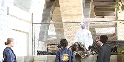 Cartel de The Purging of the Pundit