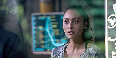 Cartel de Guardaespaldas de mentiras