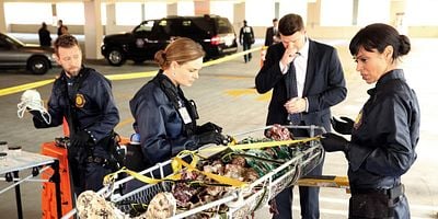 Cartel de The Putter in the Rough