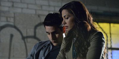 Cartel de Open Windows