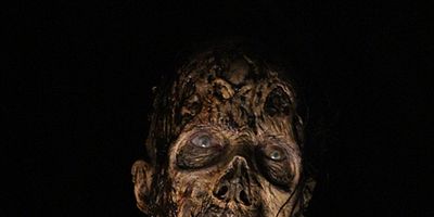 Cartel de Siempre responsable