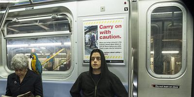 Cartel de eps1.7_wh1ter0se.m4v