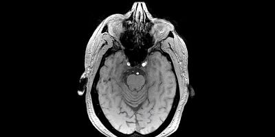 Cartel de Decoding the Brain