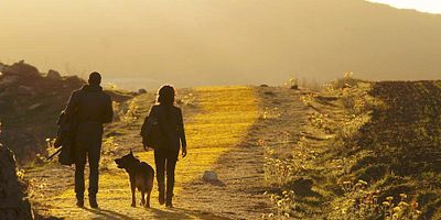 Cartel de The Beast Forever