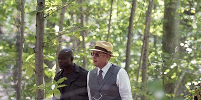 Cartel de Gaia (N.º 81)