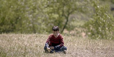 Cartel de A Strange Vessel