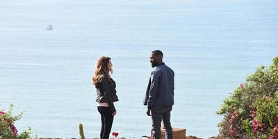 Cartel de Gato Montez