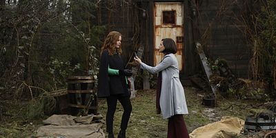 Cartel de Where Bluebirds Fly