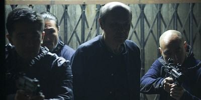 Cartel de Árbol cortado de raíz