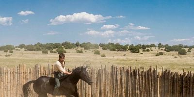 Cartel de La sabiduría del caballo
