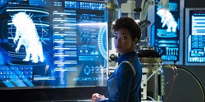 Cartel de El cuchillo del carnicero no oye el llanto del cordero