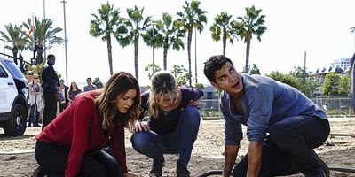 Cartel de Who Let the Dog Out ('Cause Now It's Stuck in a Cistern)