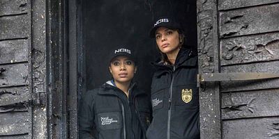 Cartel de Ties That Bind