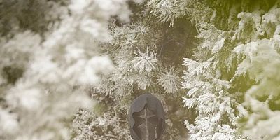 Cartel de La luna de miel