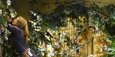 Cartel de A Taco Bowl and a Tubby Seamstress