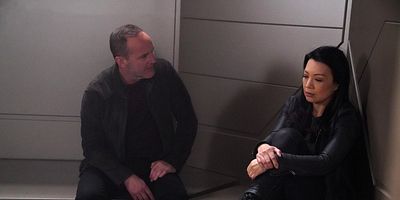 Cartel de La fuerza de la gravedad