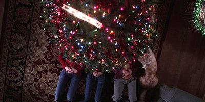 Cartel de La abuela fue atropellada por un reno