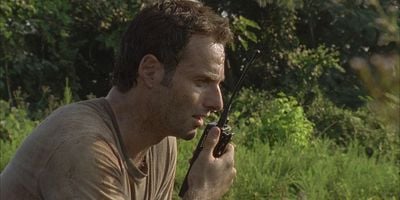 Cartel de Código Wildfire