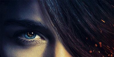 Cartel de The Other Woman