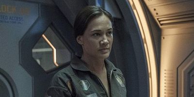 Cartel de Diente de león