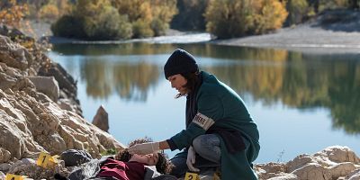 Cartel de Via Tolosana