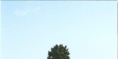 Cartel de Los ojos de algún otro