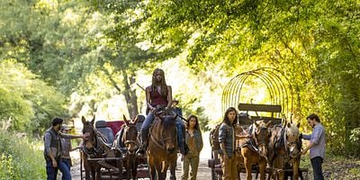 Cartel de A New Beginning