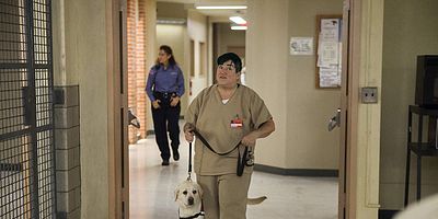 Cartel de Malditas rosquillas