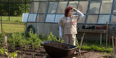 Cartel de No dirás falsos testimonios