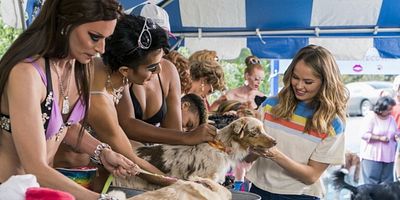 Cartel de Perras y bikinis