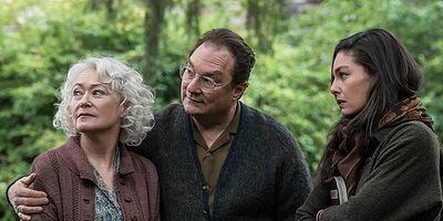 Cartel de Exceso de ánimus