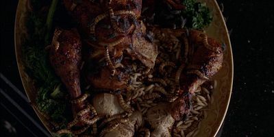 Cartel de Malleus Maleficarum