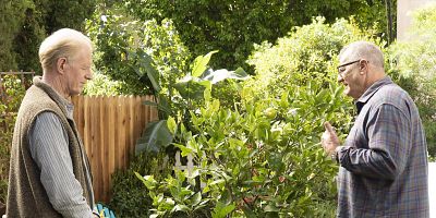 Cartel de Putting Down Roots