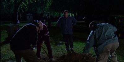 Cartel de The Special Section