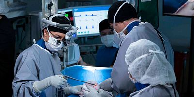 Cartel de Good Shepherd