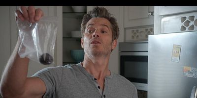 Cartel de Lo mío son los gatos