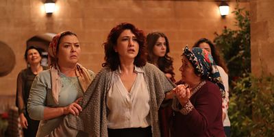 Cartel de Hercai 11.Bölüm