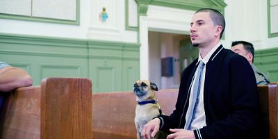 Cartel de Peligro: guardaparques