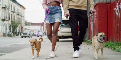 Cartel de Bienvenido Bruno