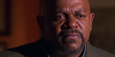 Cartel de Euphoria - Part 2