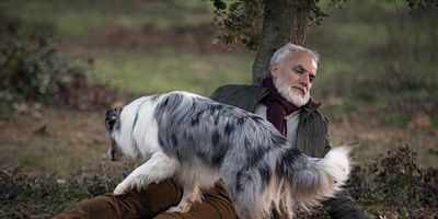 Cartel de Diamant noir