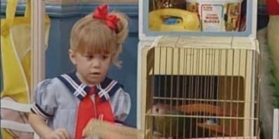 Cartel de Bye, Bye Birdie