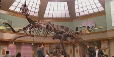 Cartel de Please Don't Touch the Dinosaur